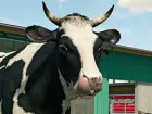 Farming Simulator 22 bate récords de ventas: la mejor cosecha de su historia en PC y consolas