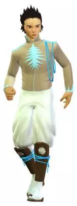 Battalion Wars 2 - Wii