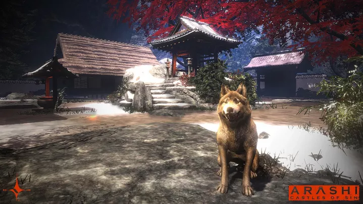 Arashi: Castles of Sin