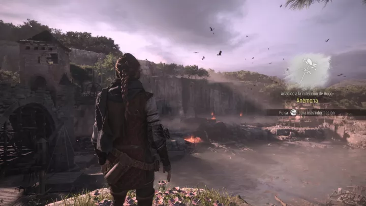 A Plague Tale Requiem - PC