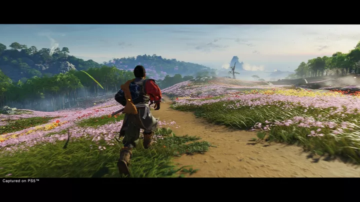 Ghost of Tsushima Director's Cut