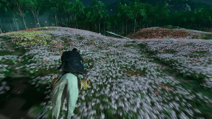 Ghost of Tsushima Director's Cut