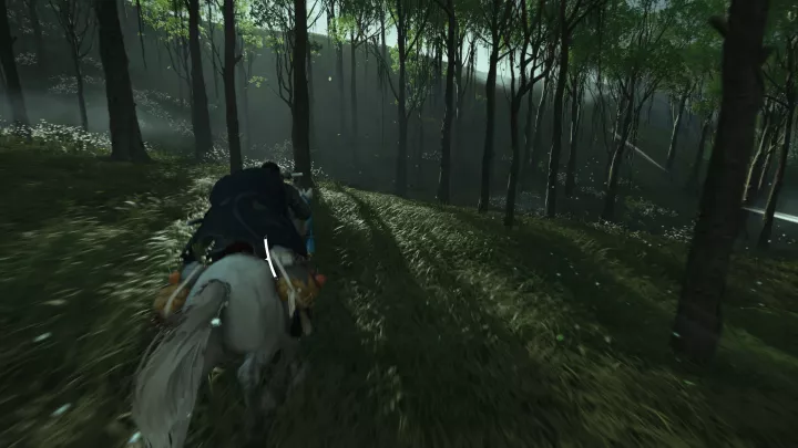 Ghost of Tsushima Director's Cut