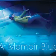 A Memoir Blue