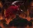 Crowsworn