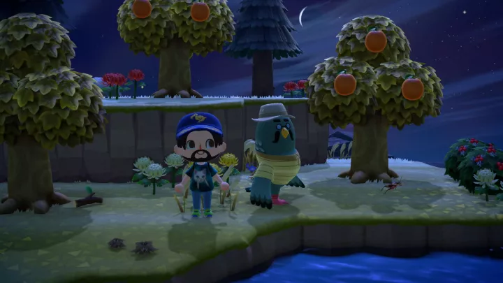 Animal Crossing Happy Home Paradise - Nintendo Switch