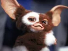 MultiVersus detalla los movimientos de su próximo personaje: así luchará Gizmo, de los Gremlins