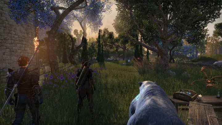 The Elder Scrolls Online: High Isle