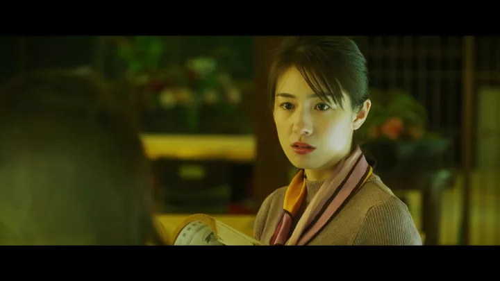 The Centennial Case A Shijima Story