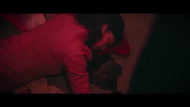 The Centennial Case A Shijima Story - Nintendo Switch