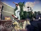 Skate - Imagen