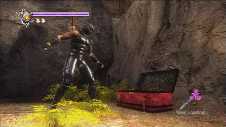 Ninja Gaiden Sigma