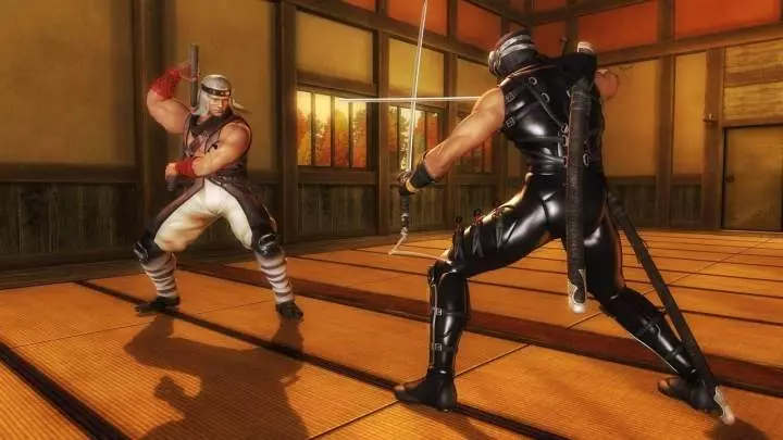 Ninja Gaiden Sigma
