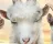 Goat Simulator 3