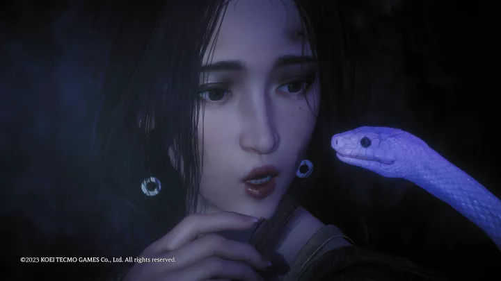 Wo Long Fallen Dynasty - PC