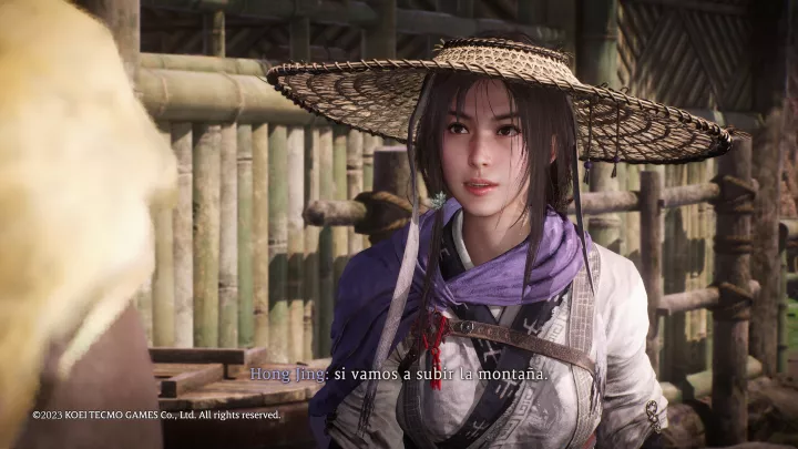 Wo Long Fallen Dynasty - PC