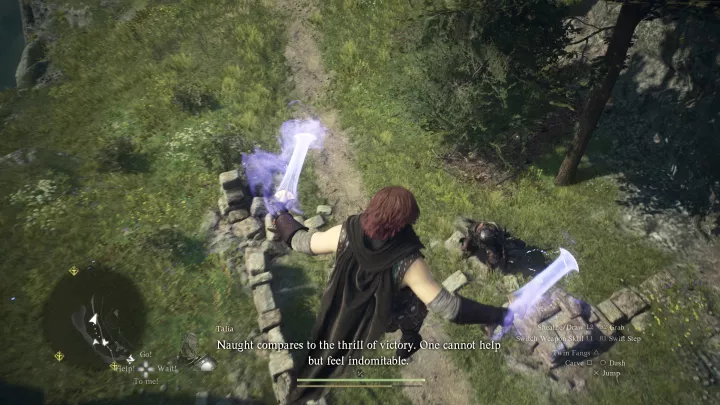 Dragon's Dogma 2 - PC