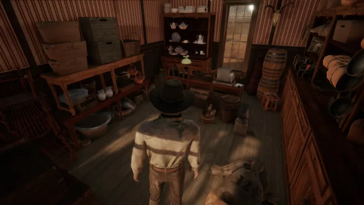 Wild West Dynasty - PC