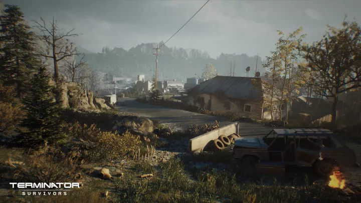 Terminator Survivors