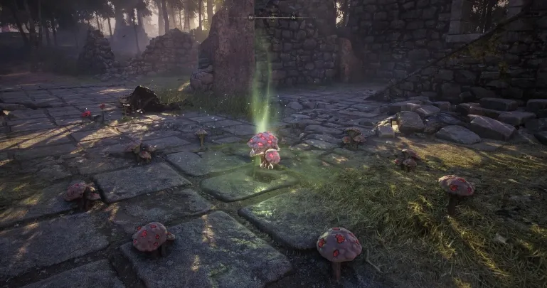 Soulframe