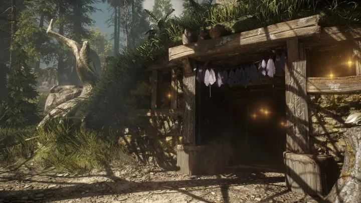 Soulframe