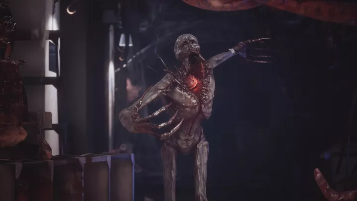 Fobia - St. Dinfna Hotel