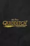 Harry Potter: Quidditch Champions
