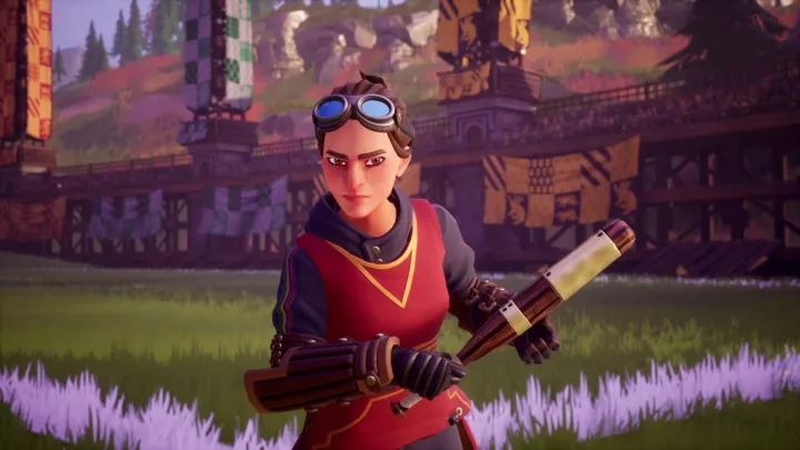 Harry Potter Quidditch Champions