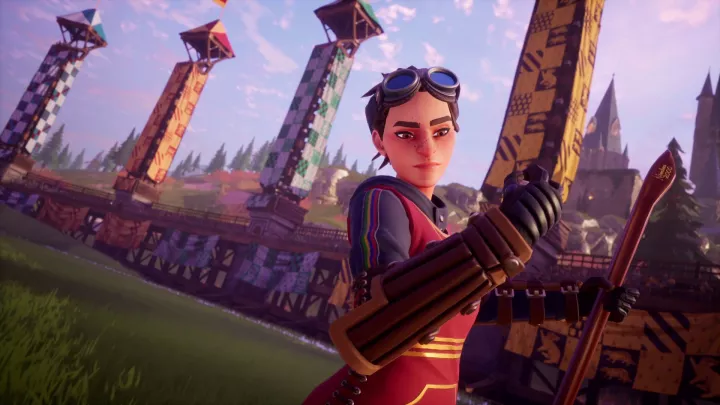 Harry Potter Quidditch Champions