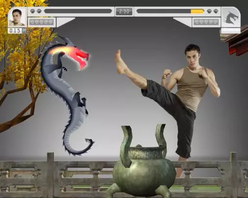 EyeToy Kinetic Combat