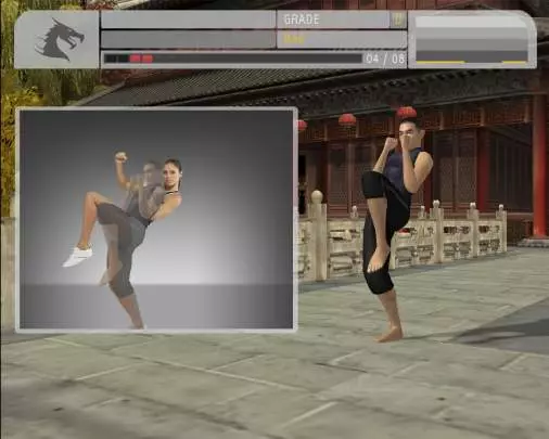 EyeToy Kinetic Combat