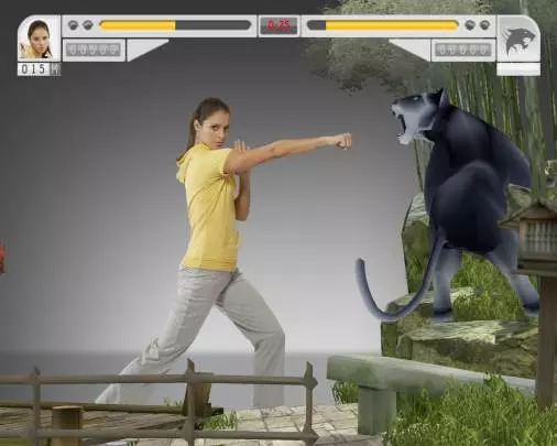 EyeToy Kinetic Combat - PS2