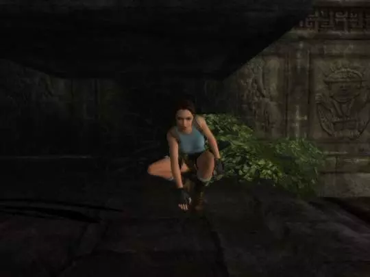 Tomb Raider Anniversary