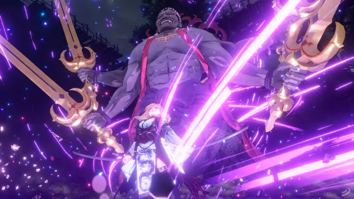 Fate/Samurai Remnant - Nintendo Switch