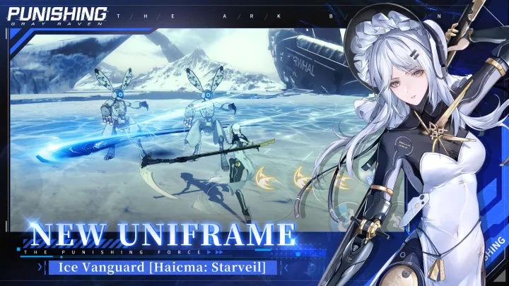 Punishing: Gray Raven