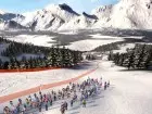 Alpine Ski Racing 2007 - Imagen PC