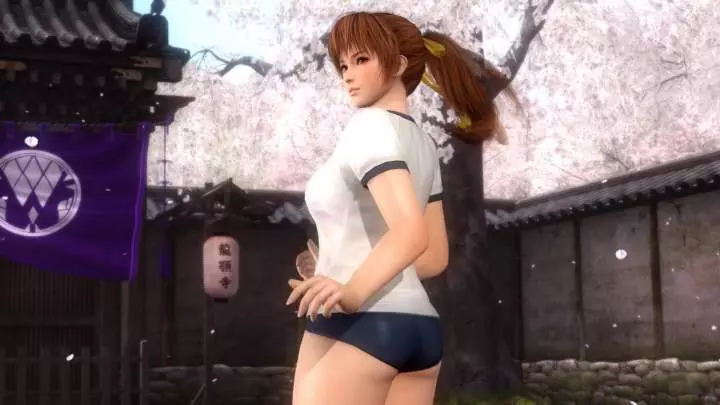 Dead or Alive 5