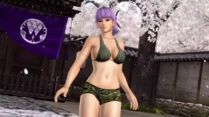 Dead or Alive 5