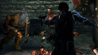 Dark Sector