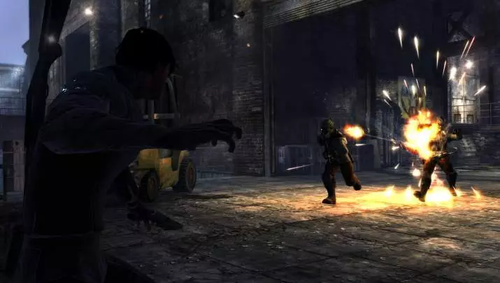Dark Sector