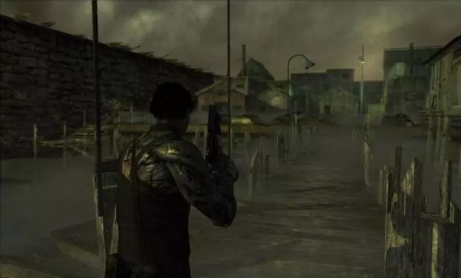 Dark Sector