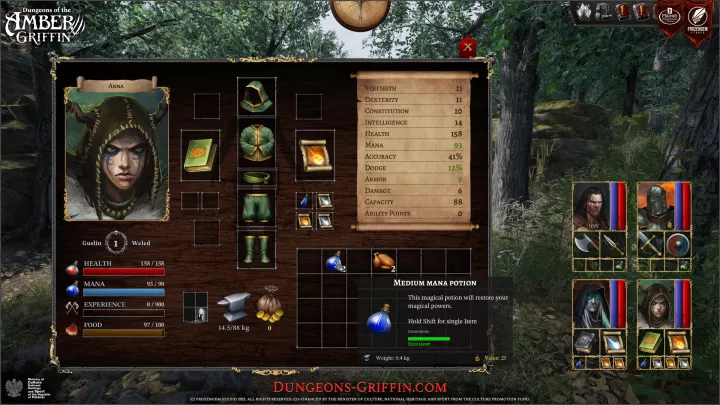 Dungeons of the Amber Griffin - PC