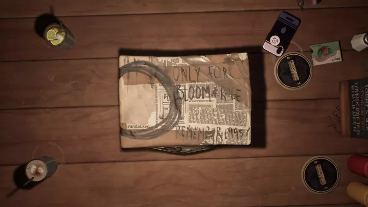 Lost Records Bloom & Rage