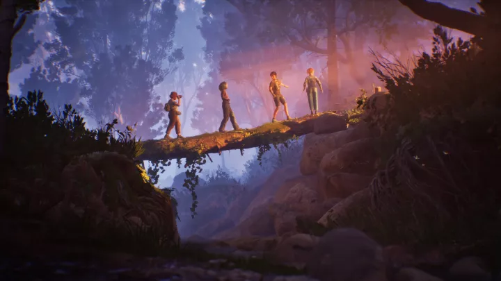 Lost Records Bloom & Rage - PC