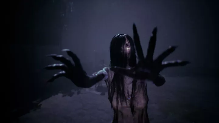 The Bridge Curse Road to Salvation