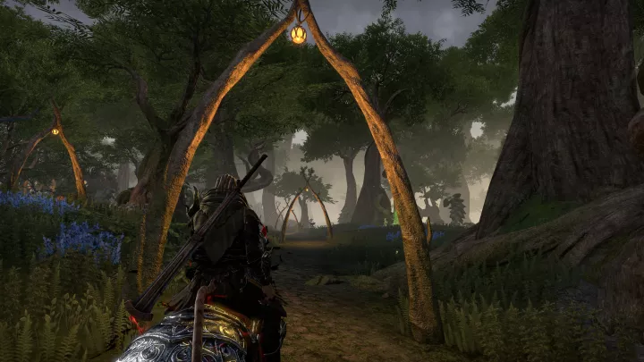TESO Gold Road - PC