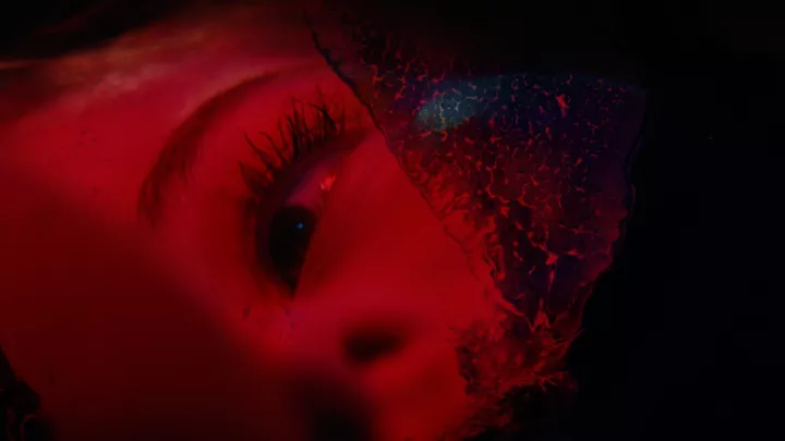 Project C (Sam Barlow)