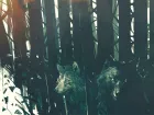 The Blood of Dawnwalker