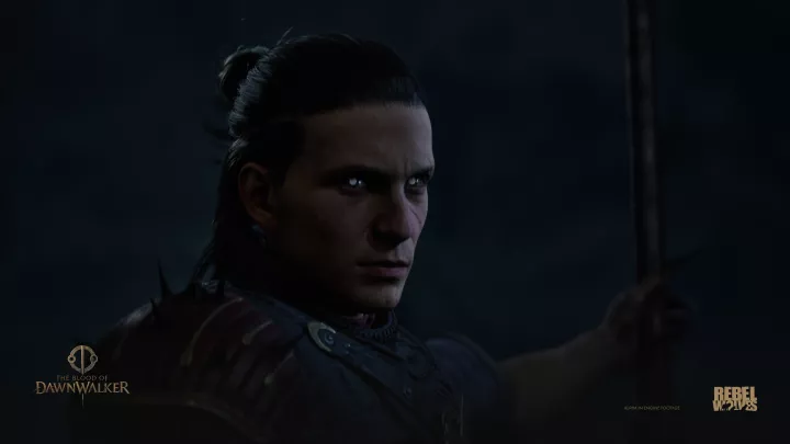 The Blood of Dawnwalker - PC