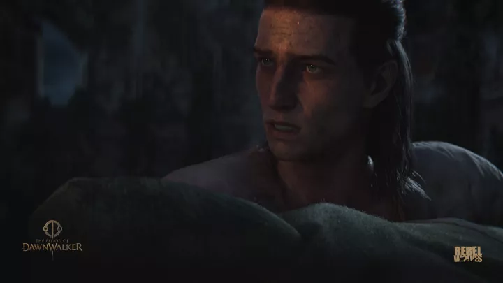 The Blood of Dawnwalker - PC